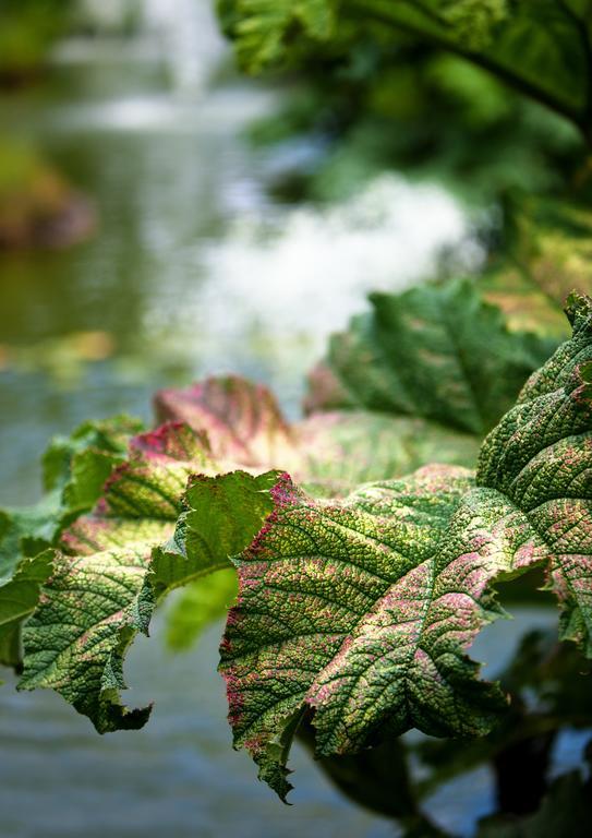 Egrove Park, University Of Oxford Exteriér fotografie