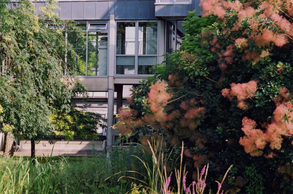 Egrove Park, University Of Oxford Exteriér fotografie